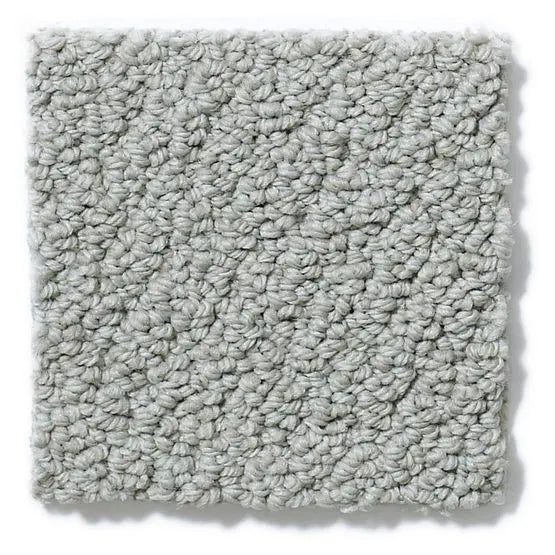 Pet Perfect - On Point - Carpet Anderson Tuftex