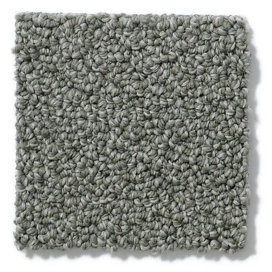 Pet Perfect - On Point - Carpet Anderson Tuftex