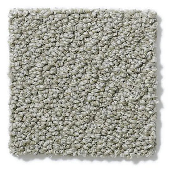 Pet Perfect - On Point - Carpet Anderson Tuftex