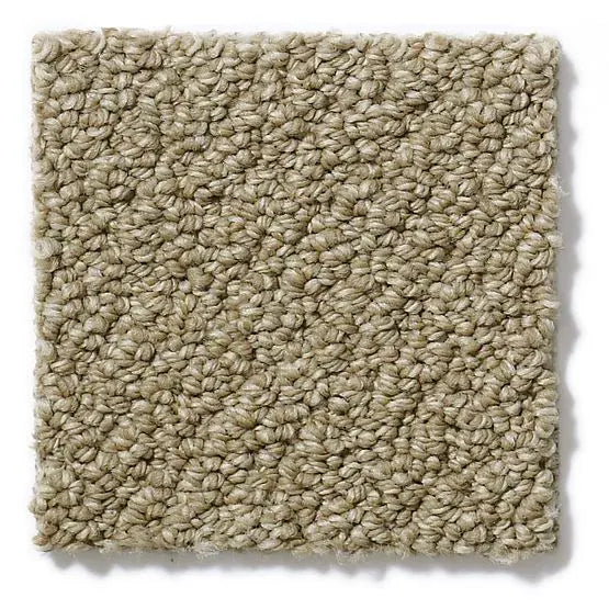 Pet Perfect - On Point - Carpet Anderson Tuftex