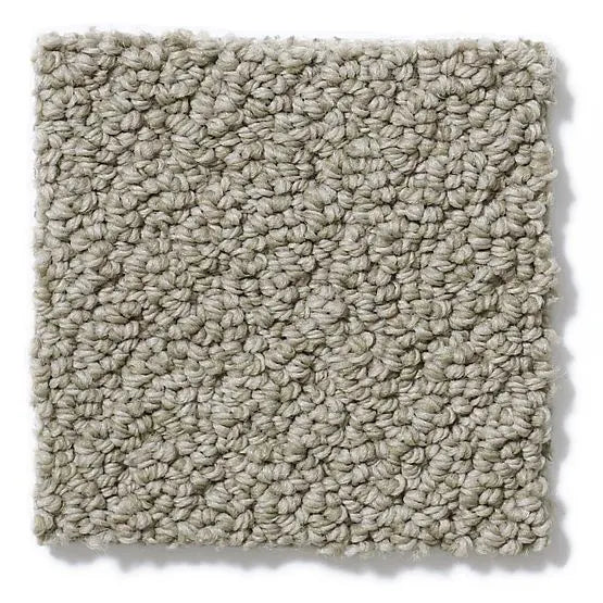 Pet Perfect - On Point - Carpet Anderson Tuftex