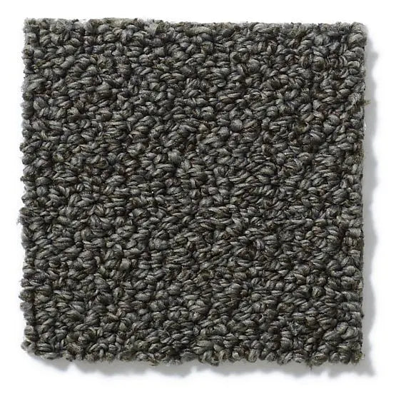 Pet Perfect - On Point - Carpet Anderson Tuftex