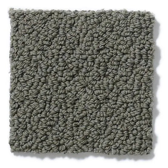 Pet Perfect - On Point - Carpet Anderson Tuftex