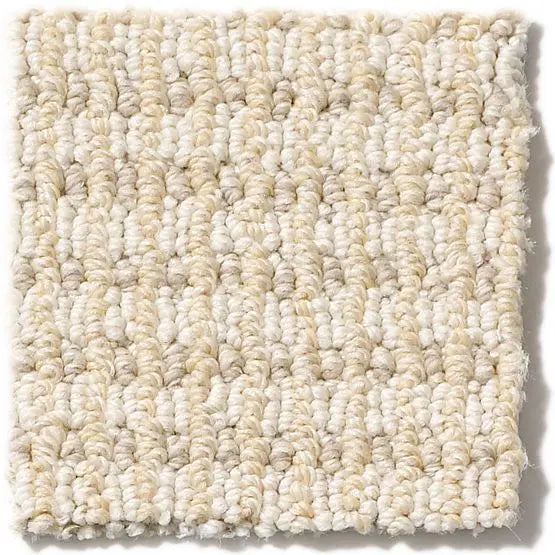 Pet Perfect - Abbey's Road - Carpet Anderson Tuftex