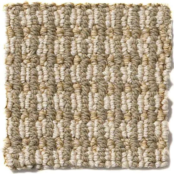 Pet Perfect - Abbey's Road - Carpet Anderson Tuftex