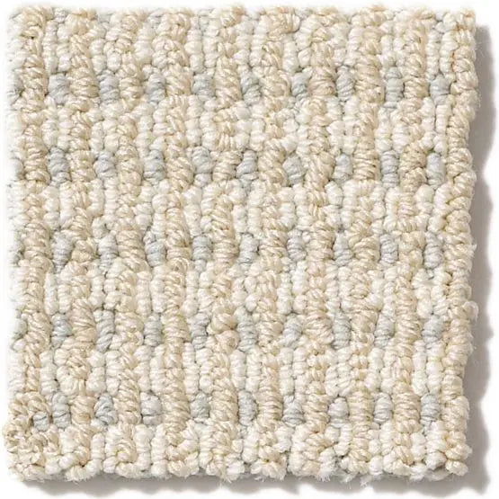 Pet Perfect - Abbey's Road - Carpet Anderson Tuftex