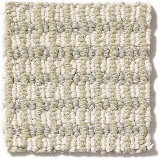 Pet Perfect - Abbey's Road - Carpet Anderson Tuftex