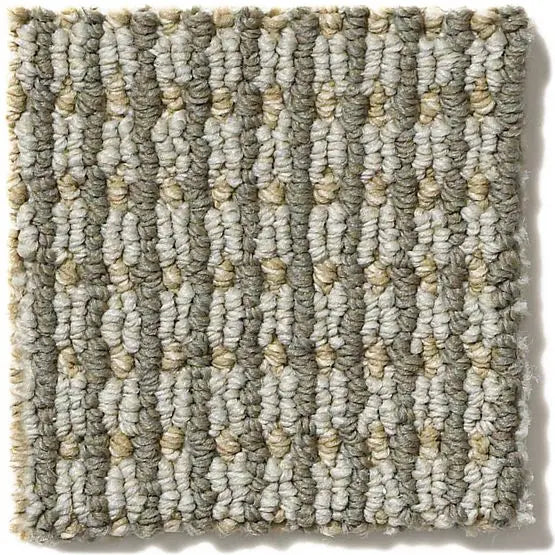 Pet Perfect - Abbey's Road - Carpet Anderson Tuftex