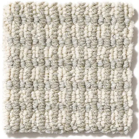 Pet Perfect - Abbey's Road - Carpet Anderson Tuftex