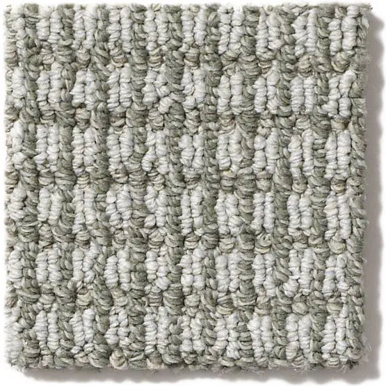 Pet Perfect - Abbey's Road - Carpet Anderson Tuftex