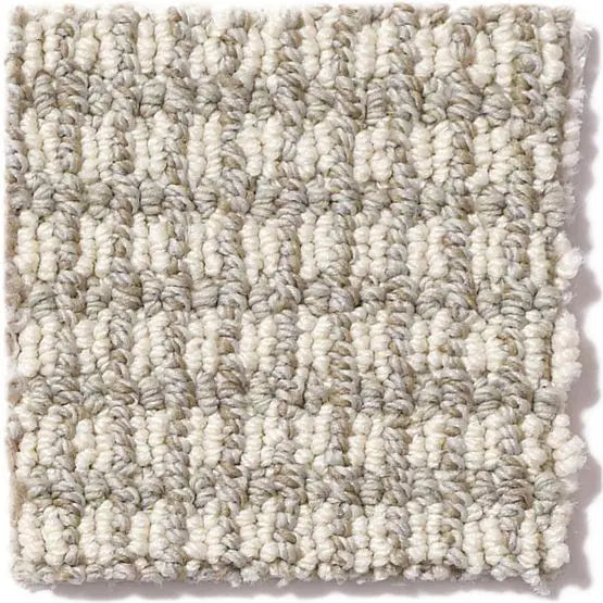 Pet Perfect - Abbey's Road - Carpet Anderson Tuftex