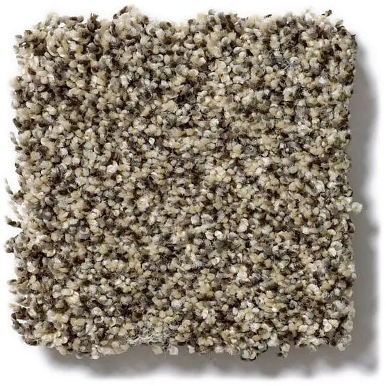 Pet Perfect - Oliver's Twist - Carpet Anderson Tuftex