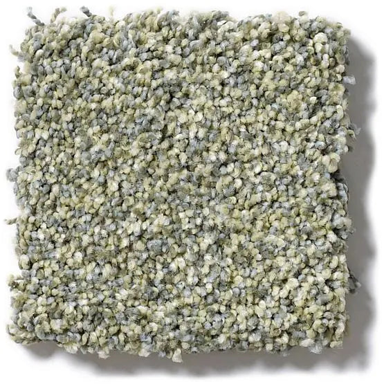 Pet Perfect - Oliver's Twist - Carpet Anderson Tuftex