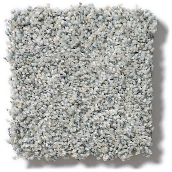 Pet Perfect - Oliver's Twist - Carpet Anderson Tuftex