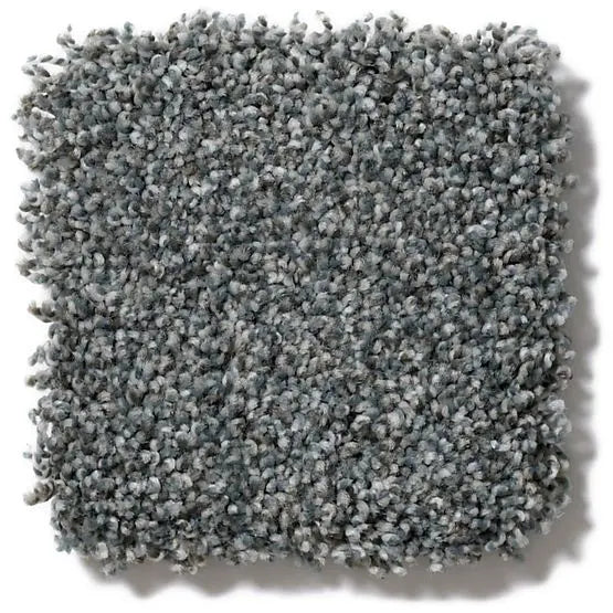 Pet Perfect - Oliver's Twist - Carpet Anderson Tuftex