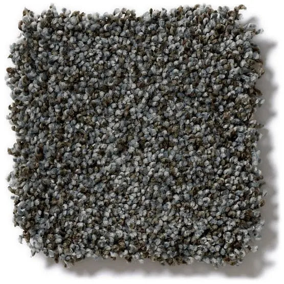 Pet Perfect - Oliver's Twist - Carpet Anderson Tuftex