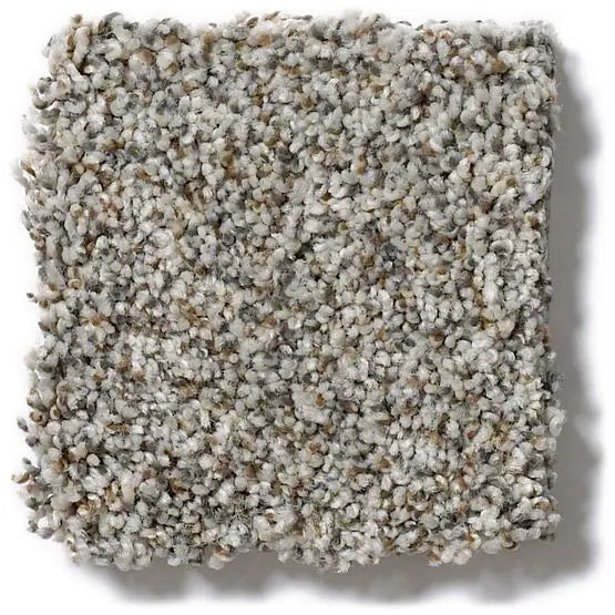 Pet Perfect - Oliver's Twist - Carpet Anderson Tuftex
