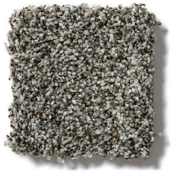 Pet Perfect - Oliver's Twist - Carpet Anderson Tuftex