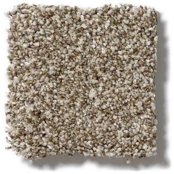 Pet Perfect - Oliver's Twist - Carpet Anderson Tuftex