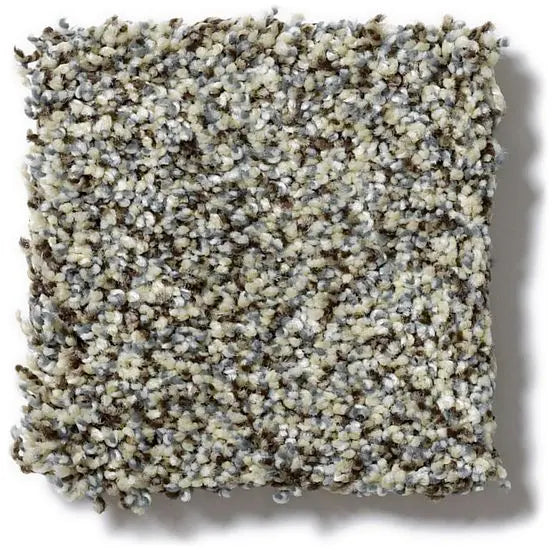 Pet Perfect - Oliver's Twist - Carpet Anderson Tuftex