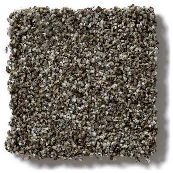 Pet Perfect - Oliver's Twist - Carpet Anderson Tuftex