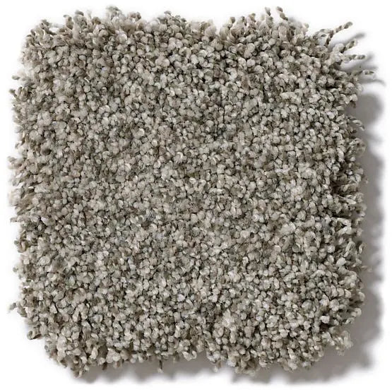 Pet Perfect - Mollie's Turn - Carpet Anderson Tuftex