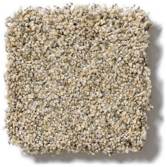 Pet Perfect - Mollie's Turn - Carpet Anderson Tuftex