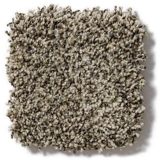 Pet Perfect - Mollie's Turn - Carpet Anderson Tuftex