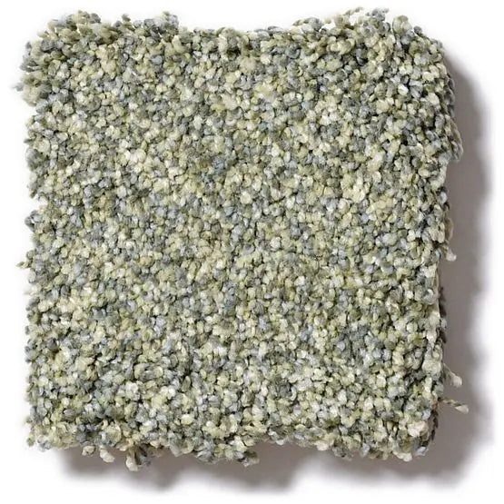 Pet Perfect - Mollie's Turn - Carpet Anderson Tuftex