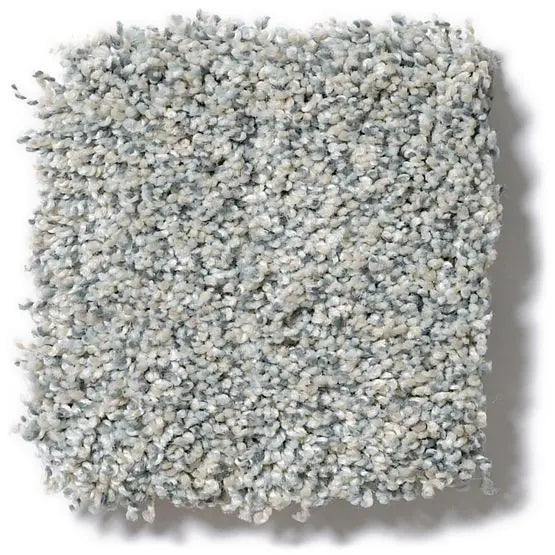 Pet Perfect - Mollie's Turn - Carpet Anderson Tuftex