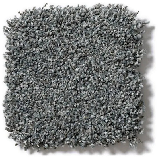 Pet Perfect - Mollie's Turn - Carpet Anderson Tuftex