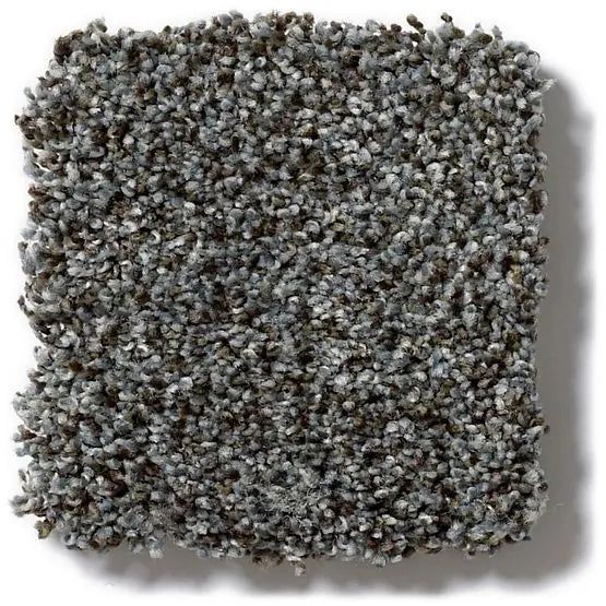 Pet Perfect - Mollie's Turn - Carpet Anderson Tuftex