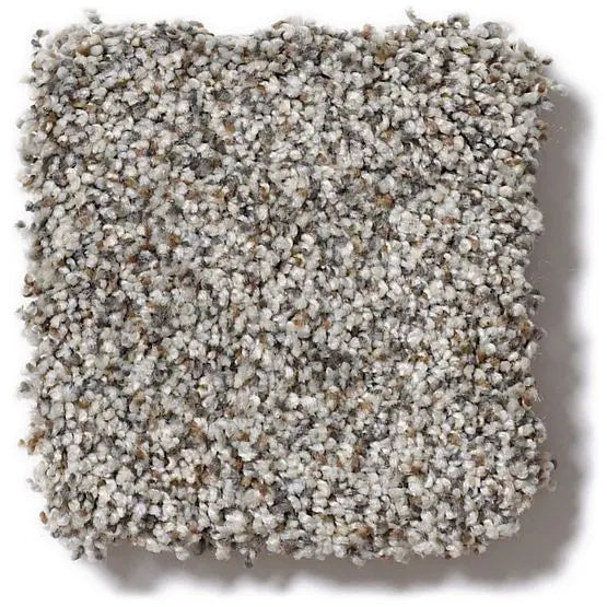 Pet Perfect - Mollie's Turn - Carpet Anderson Tuftex