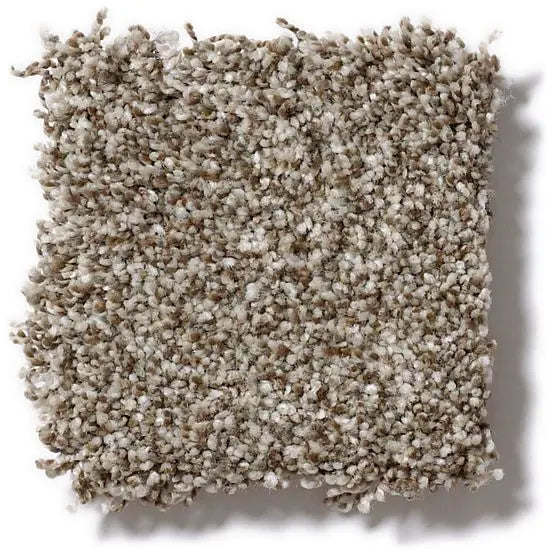 Pet Perfect - Mollie's Turn - Carpet Anderson Tuftex