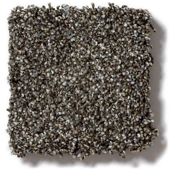 Pet Perfect - Mollie's Turn - Carpet Anderson Tuftex