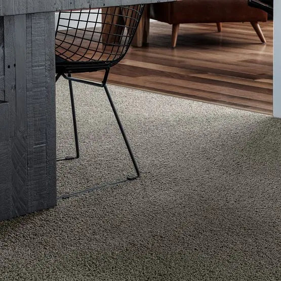 Classics - Del Morro - Carpet Anderson Tuftex