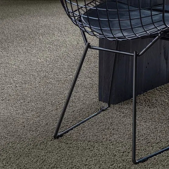 Classics - Del Morro - Carpet Anderson Tuftex