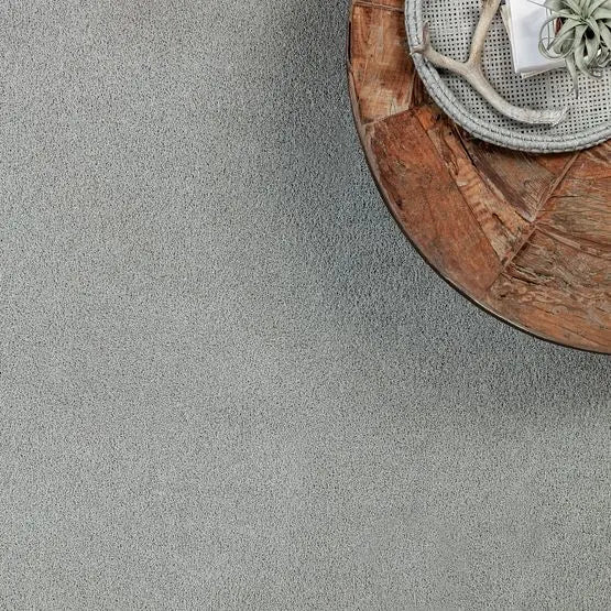 Classics - Del Morro - Carpet Anderson Tuftex