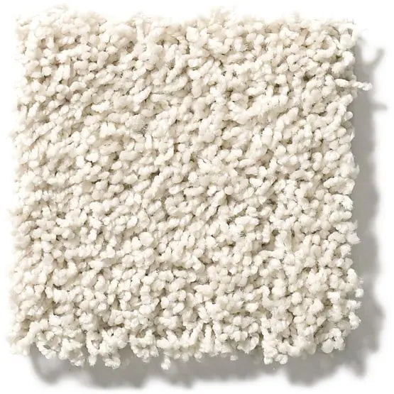 Classics - Del Morro - Carpet Anderson Tuftex