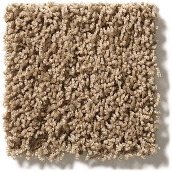 Classics - Del Morro - Carpet Anderson Tuftex