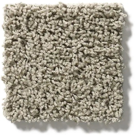 Classics - Del Morro - Carpet Anderson Tuftex