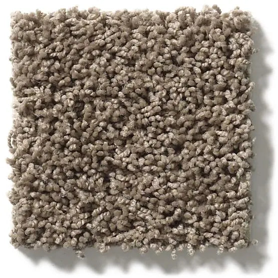 Classics - Del Morro - Carpet Anderson Tuftex