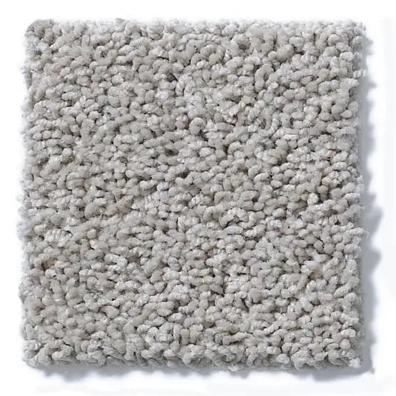 Classics - Del Morro - Carpet Anderson Tuftex