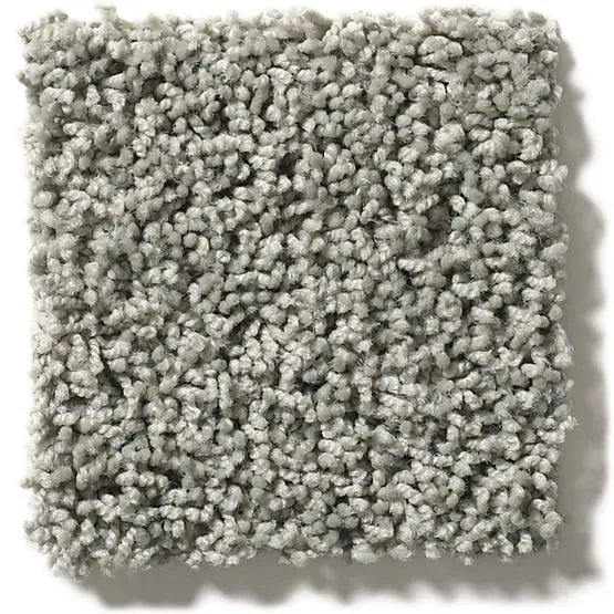 Classics - Del Morro - Carpet Anderson Tuftex