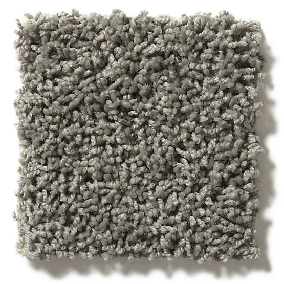 Classics - Del Morro - Carpet Anderson Tuftex