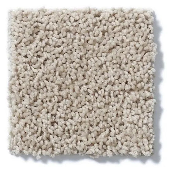 Classics - Del Morro - Carpet Anderson Tuftex