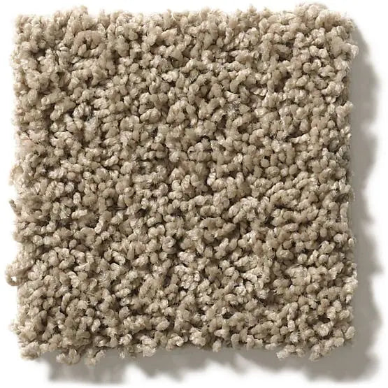 Classics - Del Morro - Carpet Anderson Tuftex