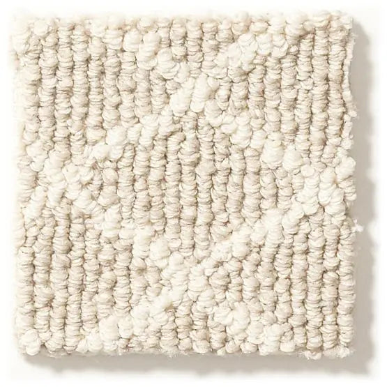 Pet Perfect - Springer's Point - Carpet Anderson Tuftex