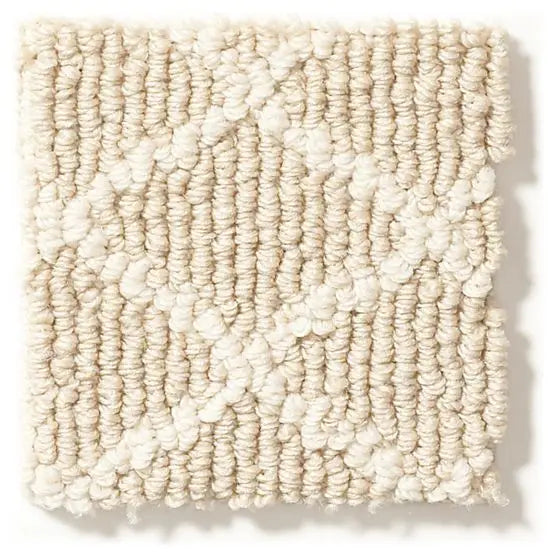 Pet Perfect - Springer's Point - Carpet Anderson Tuftex