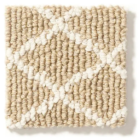 Pet Perfect - Springer's Point - Carpet Anderson Tuftex